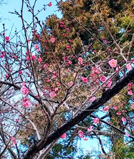 料金改正のお知らせ