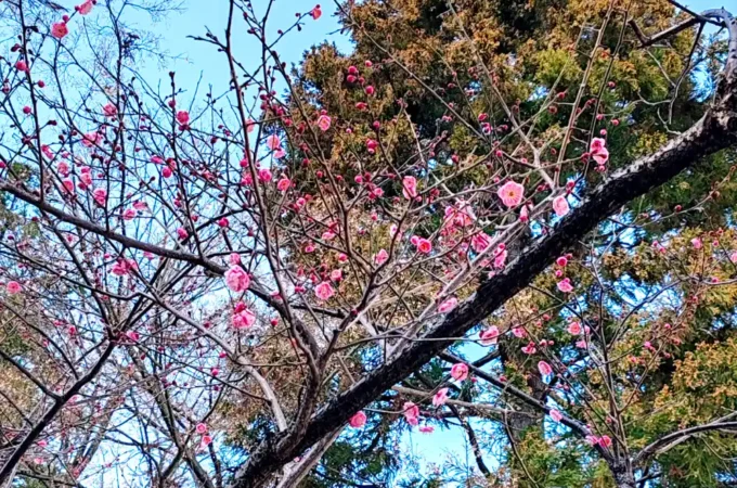 料金改正のお知らせ