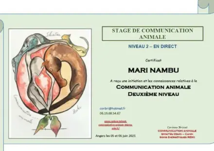 Certificat Communication Animale