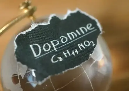 La dopamine : le moteur invisible de notre motivation