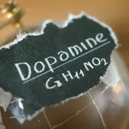Qu’est-ce que la dopamine ? Qu’est-ce que la dopamine ?