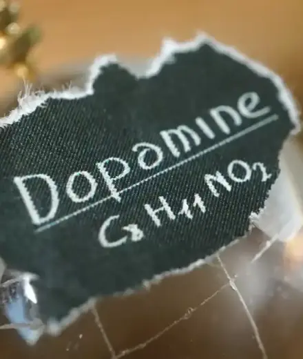 La dopamine : le moteur invisible de notre motivation