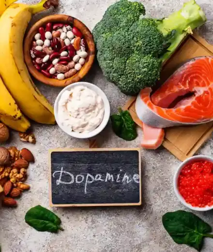 Qu’est-ce que la dopamine ?