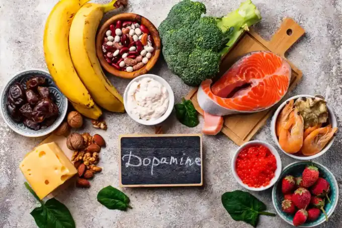 Qu’est-ce que la dopamine ?