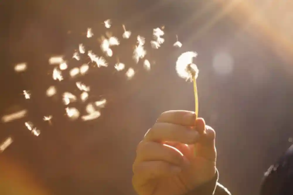 Troubles Psychosomatiques 6 Tics Nerveux : Hypnose et Accompagnement